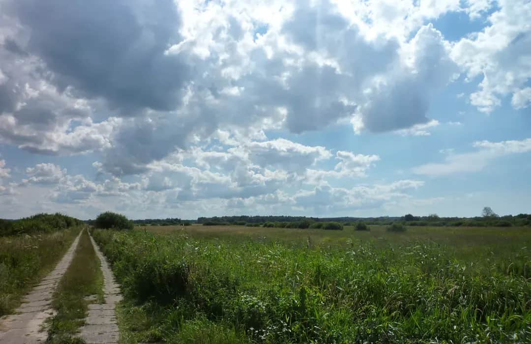 Trasa rowerowa Rowy Czołpino: piękne widoki i praktyczne porady