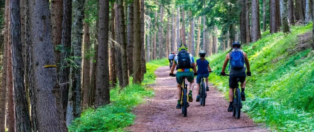 Najlepsze trasy rowerowe w Roztoczańskim Parku Narodowym – trudności i długości